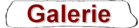 Schild_Galerie