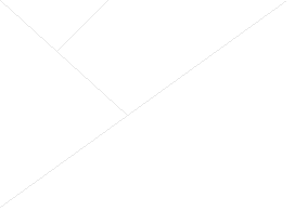 Spinnennetz1