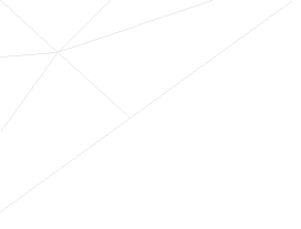 Spinnennetz2