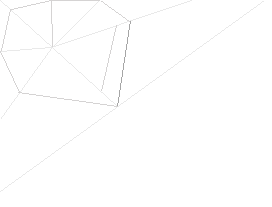 Spinnennetz3