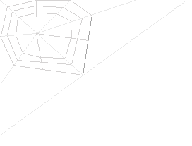 Spinnennetz4