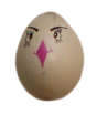 Sprungei